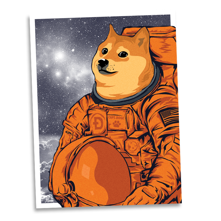 DOGE TO THE MOON
